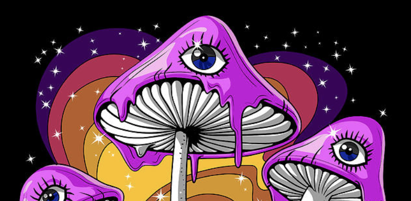 Blacks Selling Magic Mushrooms in Stalls in New York Park