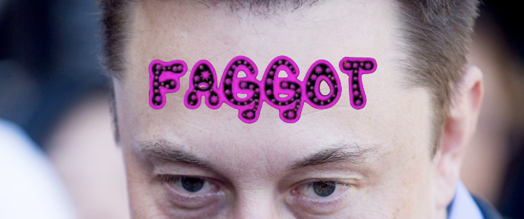 Elon is a Fag