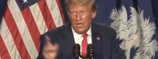Trump Suggests Mitch McConnell is a Faggot Baby Rapist