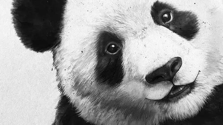 China has Total Ability to Thwart the Idiotic “Green Agenda” That Western Anti-China Lunatics are Pushing