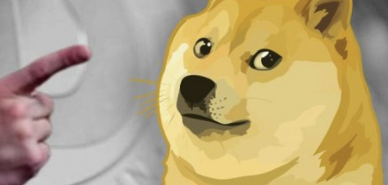 Revealed: Faggot Fake Speecher Musk Tried to Jew Us with Dogecoon