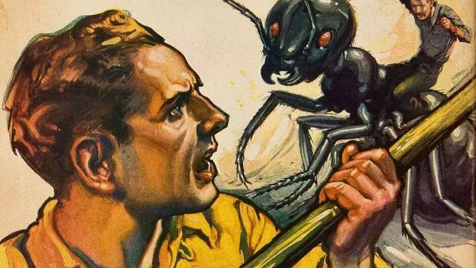 France Closes Seven Schools Because They’re Full of Bloodsucking Insects