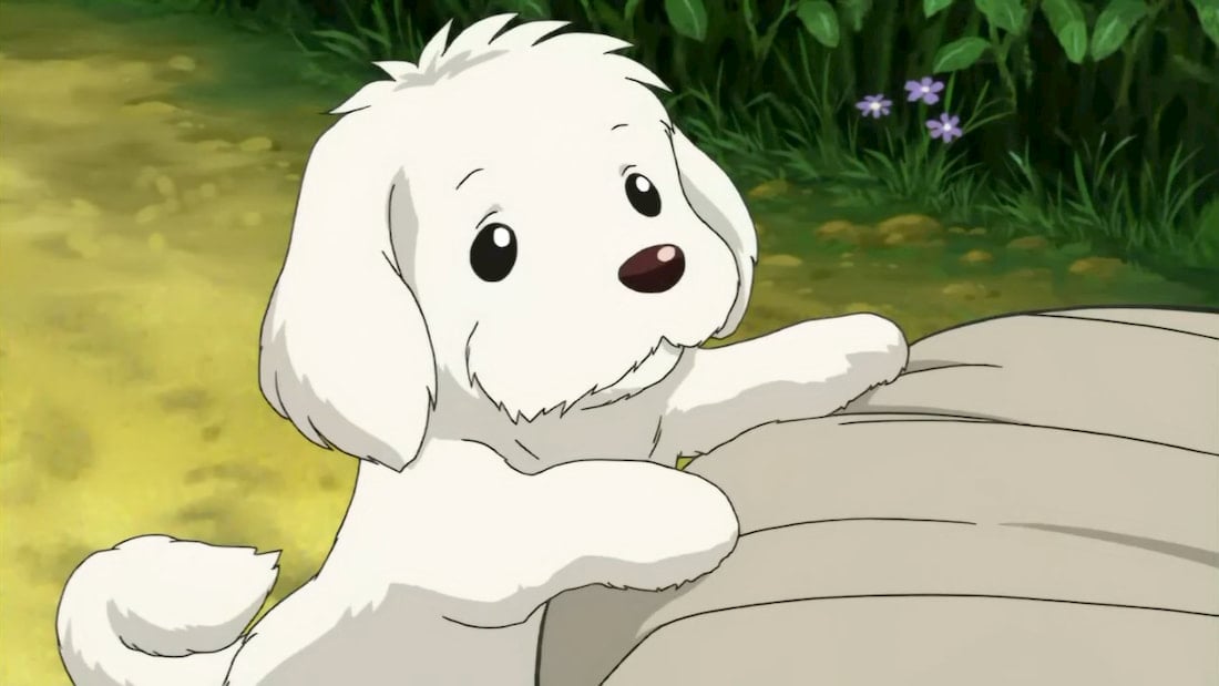 South Korea to Ban Eating Dogs