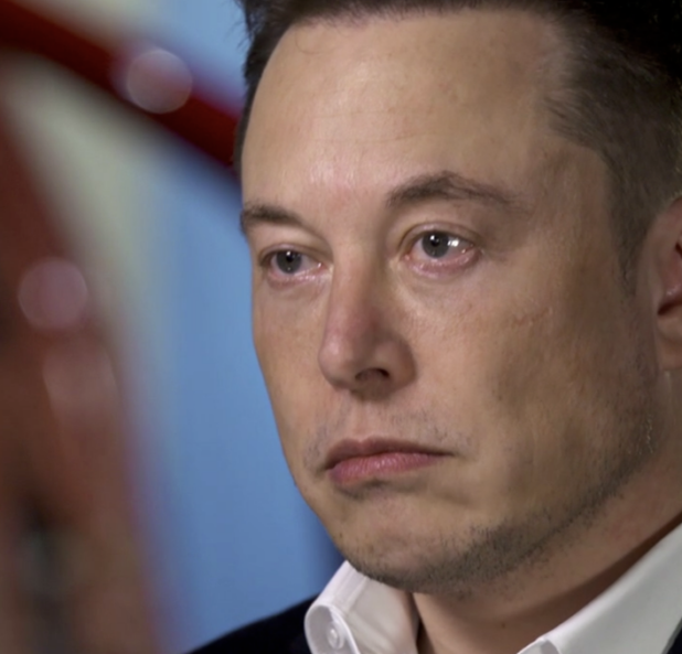 Elon Musk is pictured contemplating his next suckjob.