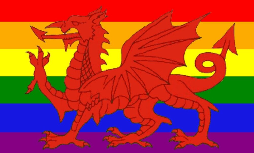 Welsh Government to Add 50% Female Quota for Parliament Candidates, Count Trannies as Women
