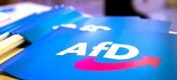 Germany: Pastor Loses Job for Running for Office on AfD Ticket