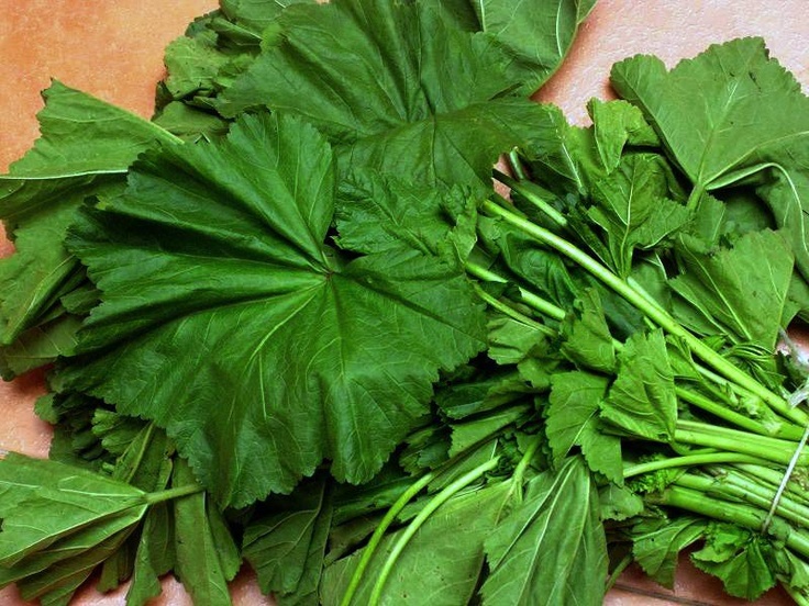 People in Gaza Now Eating Wild Plants to Calm Hunger