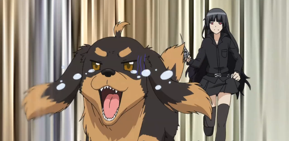 UK: Lesbian Wins Lawsuit After Being Reprimanded for Insulting “Gender-Fluid” Dog