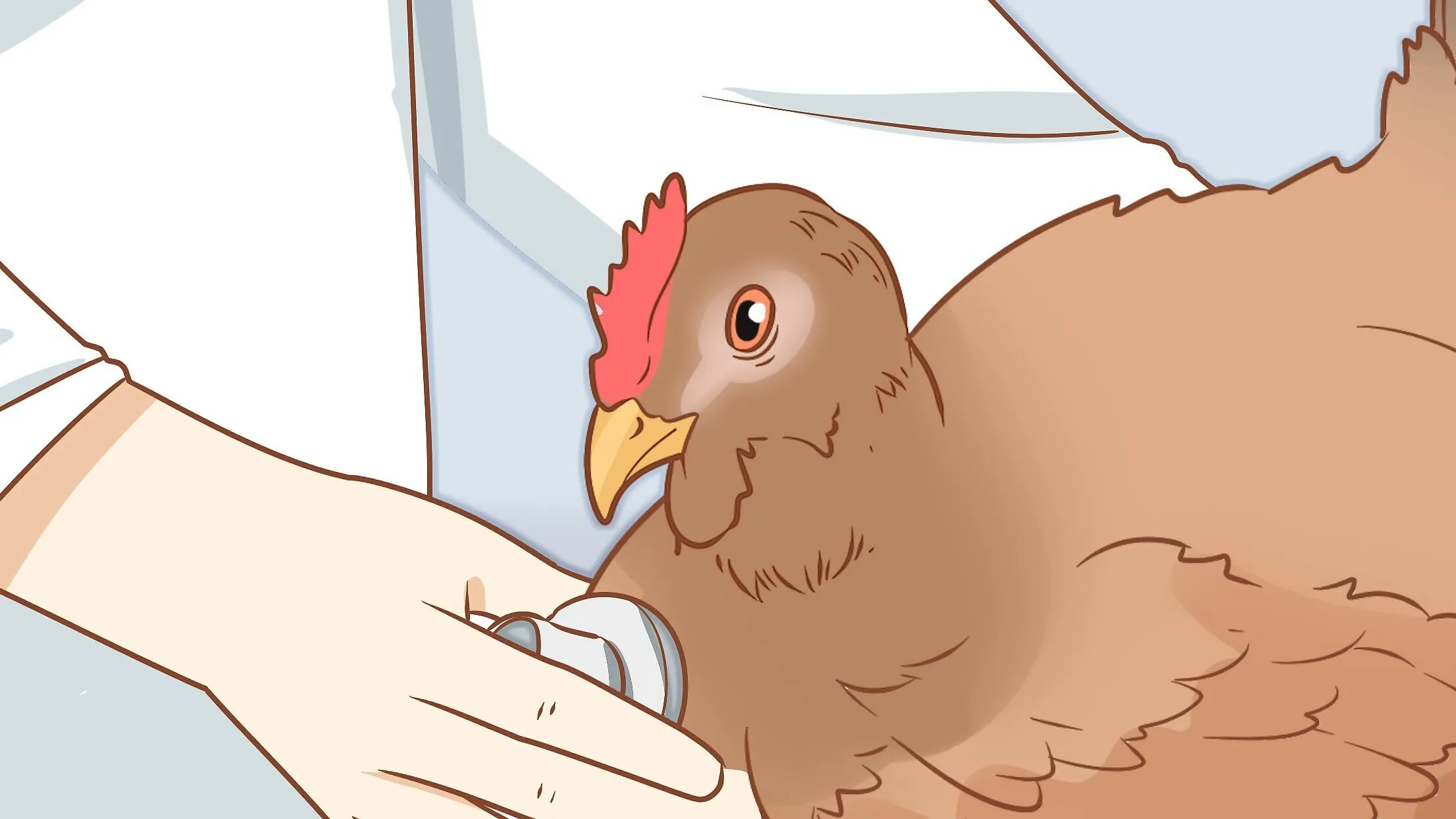 Bird Genocide: NY Shuts Down Live Bird Markets to “Curb the Spread” of “Bird Flu”